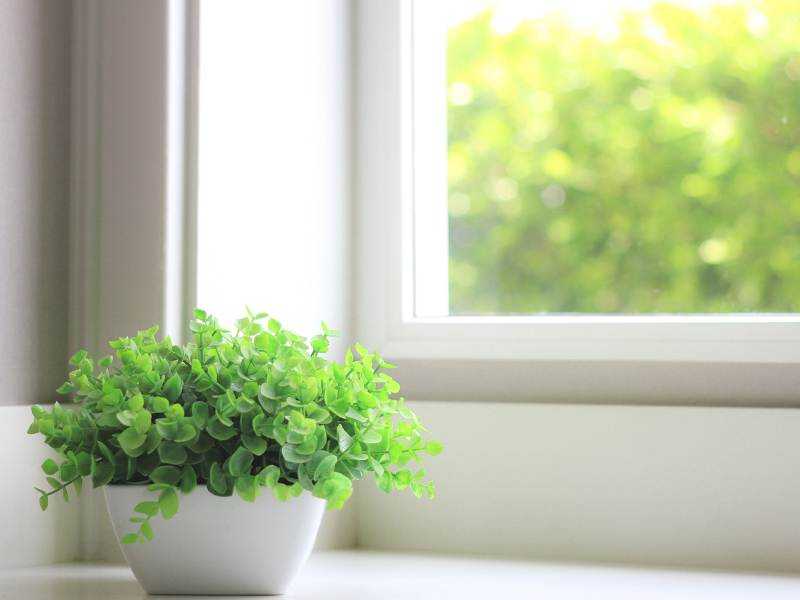 What Makes an Energy-Efficient Window?